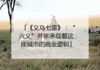 《义乌七章》：“六义”并举承载着这座城市的商业逻辑