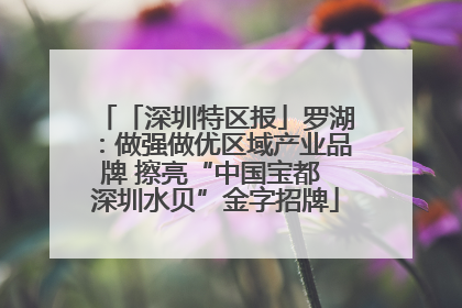 「深圳特区报」罗湖：做强做优区域产业品牌 擦亮“中国宝都 深圳水贝”金字招牌