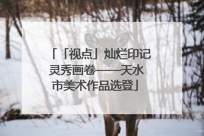「视点」灿烂印记 灵秀画卷——天水市美术作品选登