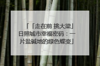 「走在前 挑大梁」日照城市幸福密码：一片盐碱地的绿色蝶变