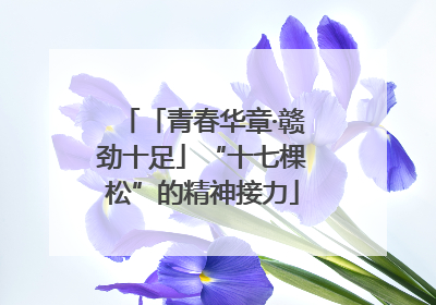「青春华章·赣劲十足」“十七棵松”的精神接力