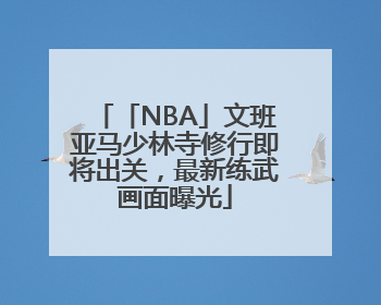 「NBA」文班亚马少林寺修行即将出关，最新练武画面曝光