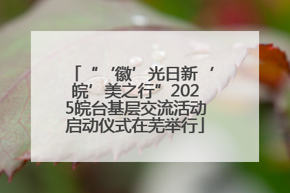 “‘徽’光日新‘皖’美之行”2025皖台基层交流活动启动仪式在芜举行