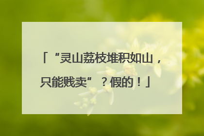 “灵山荔枝堆积如山，只能贱卖”？假的！