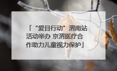 “爱目行动”渭南站活动举办 京渭医疗合作助力儿童视力保护