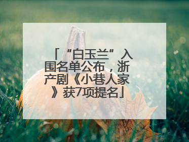 “白玉兰”入围名单公布，浙产剧《小巷人家》获7项提名