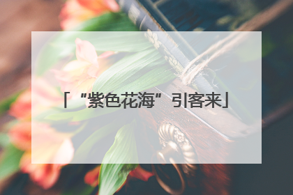 “紫色花海”引客来