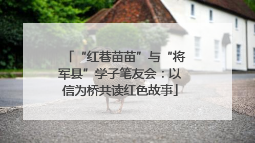 “红巷苗苗”与“将军县”学子笔友会：以信为桥共读红色故事