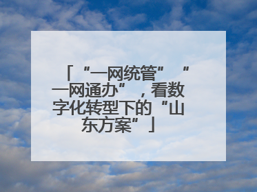 “一网统管”“一网通办”，看数字化转型下的“山东方案”