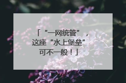 “一网统管”，这座“水上堡垒”可不一般！