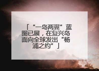 “一岛两翼”蓝图已展，在复兴岛面向全球发出“杨浦之约”