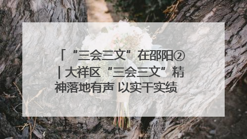 “三会三文”在邵阳②｜大祥区“三会三文”精神落地有声 以实干实绩助力区域高质量发展