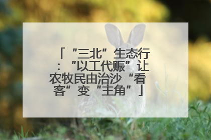 “三北”生态行：“以工代赈”让农牧民由治沙“看客”变“主角”