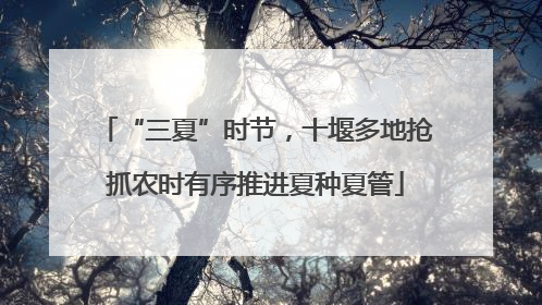 “三夏”时节，十堰多地抢抓农时有序推进夏种夏管