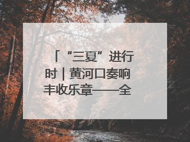 “三夏”进行时｜黄河口奏响丰收乐章——全市小麦进入大面积收获高峰期