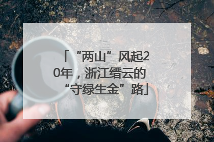 “两山”风起20年，浙江缙云的“守绿生金”路