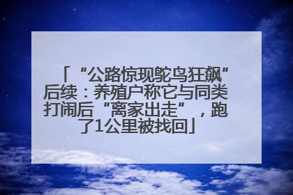 “公路惊现鸵鸟狂飙”后续：养殖户称它与同类打闹后“离家出走”，跑了1公里被找回