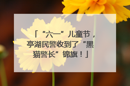 “六一”儿童节，亭湖民警收到了“黑猫警长”锦旗！
