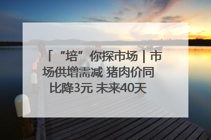 “培”你探市场｜市场供增需减 猪肉价同比降3元 未来40天便宜猪肉敞开吃