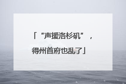 “声援洛杉矶”，得州首府也乱了