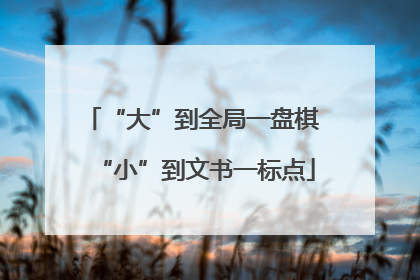 “大”到全局一盘棋 “小”到文书一标点