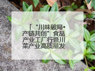 “川味破局•产链共创”食品产业工厂行暨川菜产业高质量发展座谈会举办