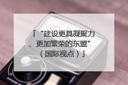 “建设更具凝聚力、更加繁荣的东盟”（国际视点）
