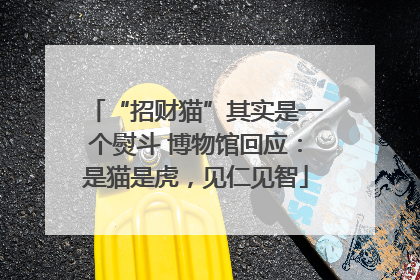 “招财猫”其实是一个熨斗 博物馆回应：是猫是虎，见仁见智