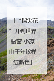 “指尖花”开到世界橱窗 小凉山千年纹样绽新色