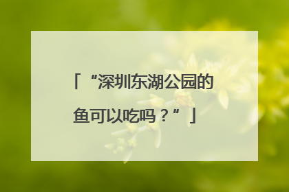 “深圳东湖公园的鱼可以吃吗？”