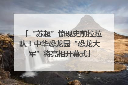 “苏超”惊现史前拉拉队！中华恐龙园“恐龙大军”将亮相开幕式