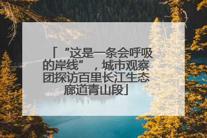 “这是一条会呼吸的岸线”，城市观察团探访百里长江生态廊道青山段