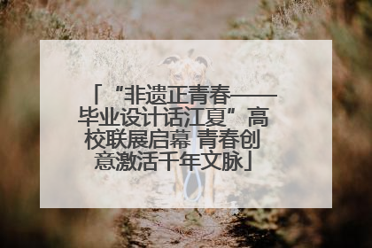 “非遗正青春——毕业设计话江夏”高校联展启幕 青春创意激活千年文脉