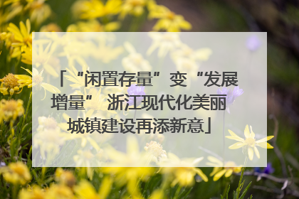 “闲置存量”变“发展增量” 浙江现代化美丽城镇建设再添新意