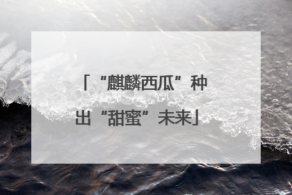 “麒麟西瓜”种出“甜蜜”未来