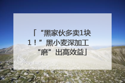 “黑家伙多卖1块1！”黑小麦深加工“磨”出高效益