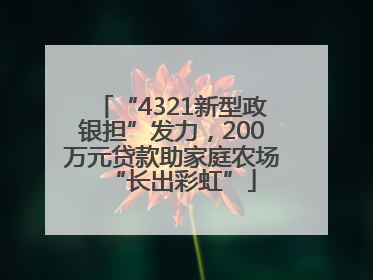 “4321新型政银担”发力，200万元贷款助家庭农场“长出彩虹”