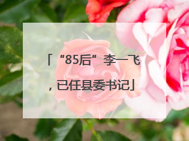 “85后”李一飞，已任县委书记