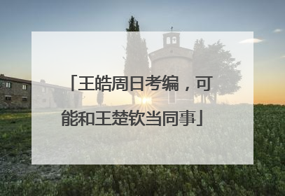 王皓周日考编，可能和王楚钦当同事