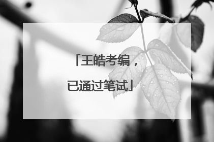 王皓考编，已通过笔试