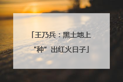 王乃兵：黑土地上“种”出红火日子