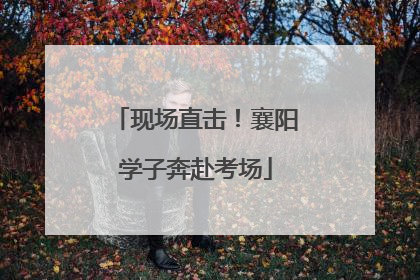 现场直击！襄阳学子奔赴考场