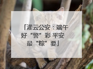 灌云公安：端午好“警”彩 平安最“粽”要