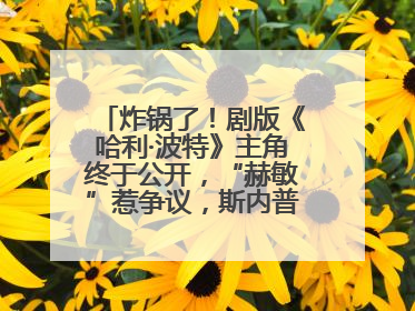 炸锅了！剧版《哈利·波特》主角终于公开，“赫敏”惹争议，斯内普变黑人……