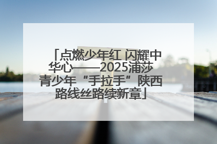 点燃少年红 闪耀中华心——2025浦莎青少年“手拉手”陕西路线丝路续新章