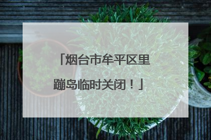 烟台市牟平区里蹦岛临时关闭！