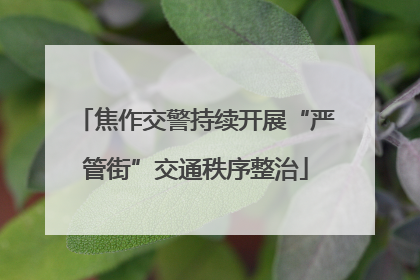 焦作交警持续开展“严管街”交通秩序整治