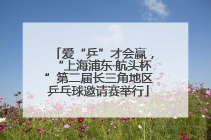 爱“乒”才会赢，“上海浦东·航头杯”第二届长三角地区乒乓球邀请赛举行