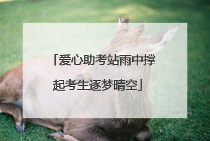 爱心助考站雨中撑起考生逐梦晴空
