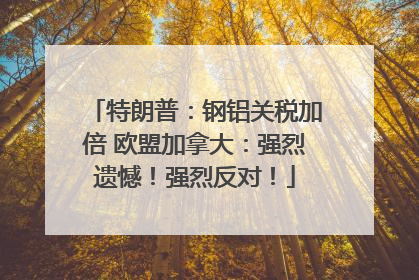 特朗普：钢铝关税加倍 欧盟加拿大：强烈遗憾！强烈反对！